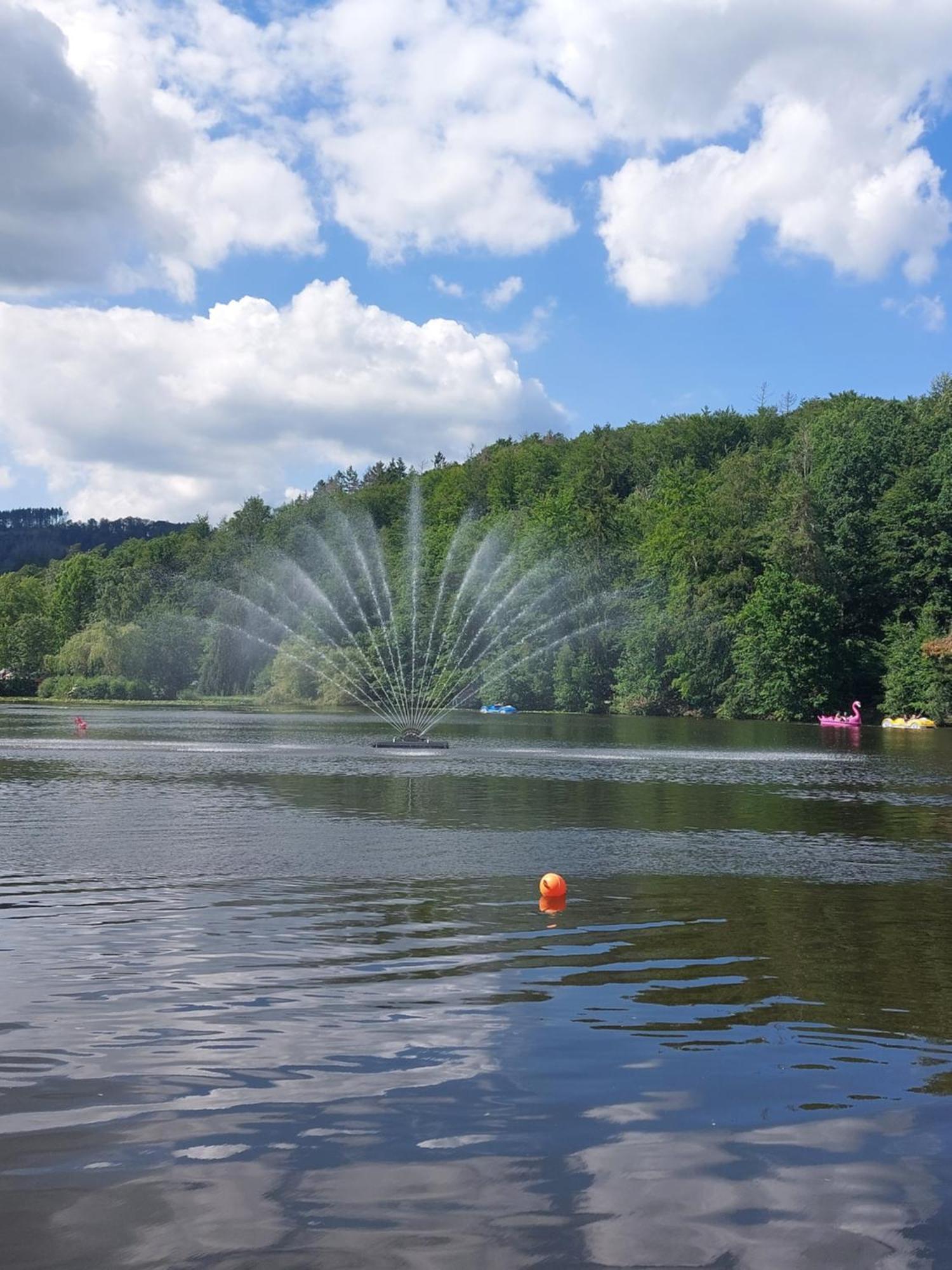 Ferienwohnung Gipfelglueck Mit Fernblick Und Strandkorb Bad Sachsa Zewnętrze zdjęcie